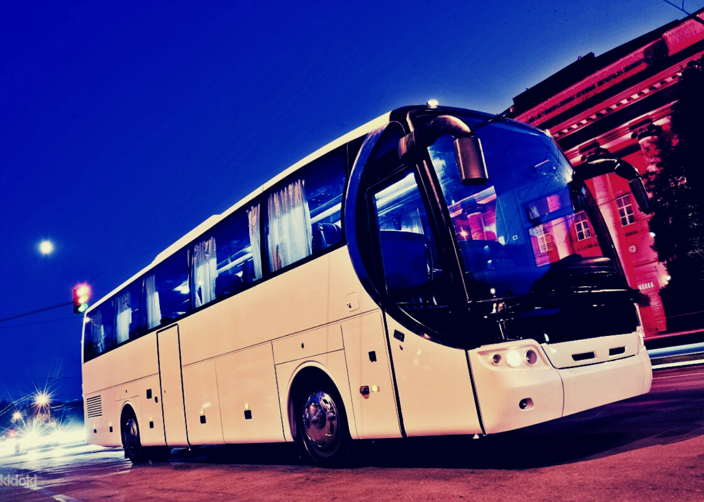 Международные пассажирские перевозки. Автобус. Туристический автобус. (А-Б)(А+Б). Пассажирский автобус.